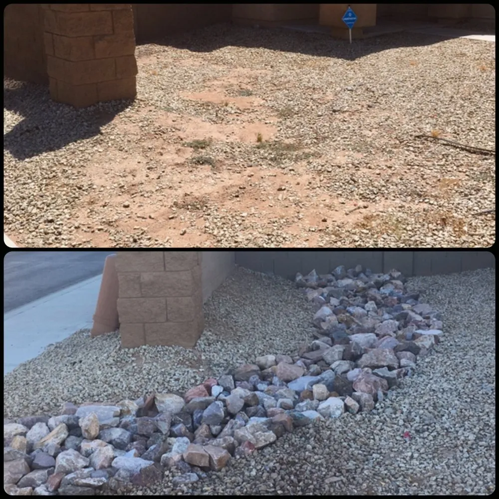 Reliable yard cleanup service in Casa Grande, AZ by The Bearded Irishman Landscaping