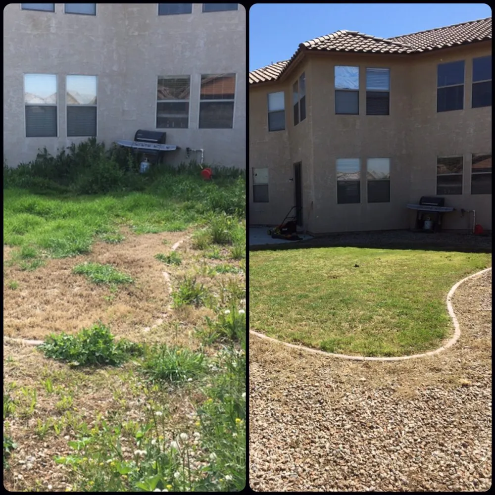 Top-rated lawn mowing service for beautiful yards in Casa Grande, AZ by The Bearded Irishman Landscaping