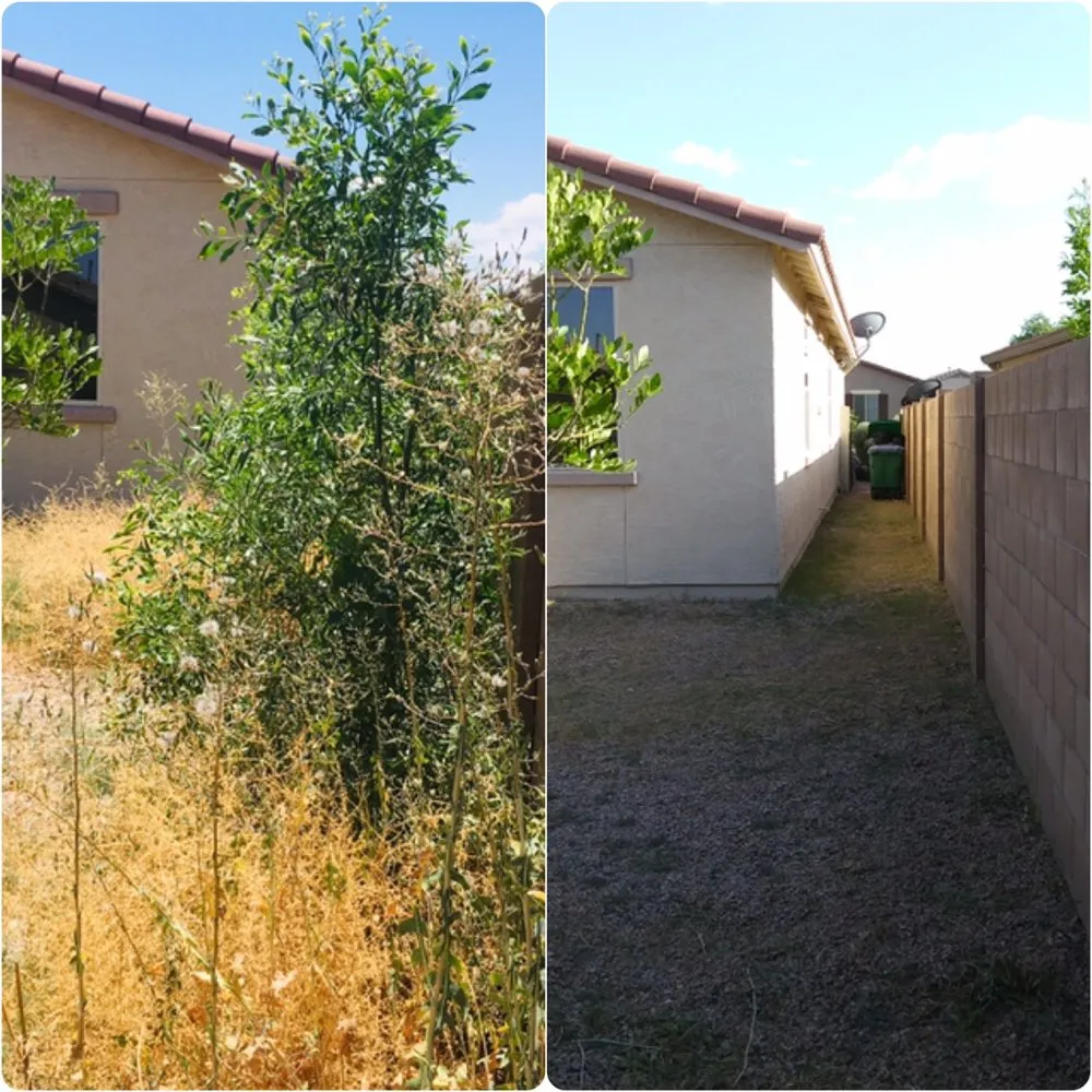 Expert outdoor landscaping for year-round maintenance across Casa Grande, AZ - The Bearded Irishman Landscaping