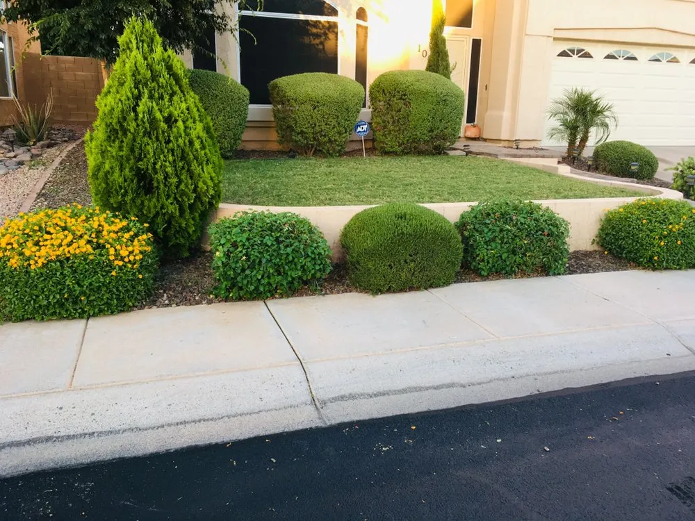 Reliable lawn mowing service with custom design in Casa Grande, AZ by The Bearded Irishman Landscaping