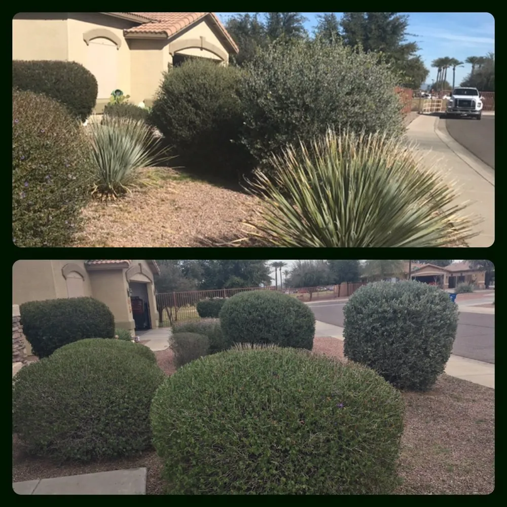 Local landscape design experts serving Casa Grande, AZ - The Bearded Irishman Landscaping