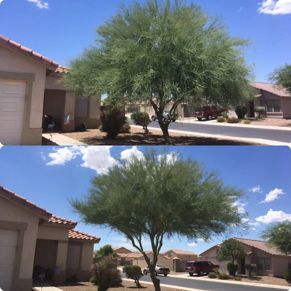 Local lawn care service for outdoor upgrades across Casa Grande, AZ - The Bearded Irishman Landscaping