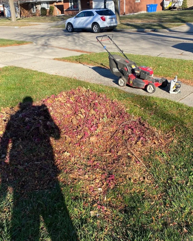 Expert lawn mowing service for year-round maintenance in Warren, MI by The Bearded Irishman