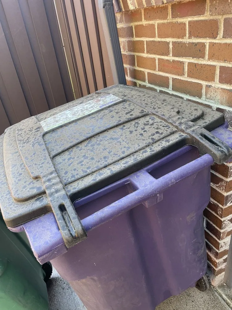 Reliable lawn care service for residential properties across Denver, CO - The Bears of the Rockies