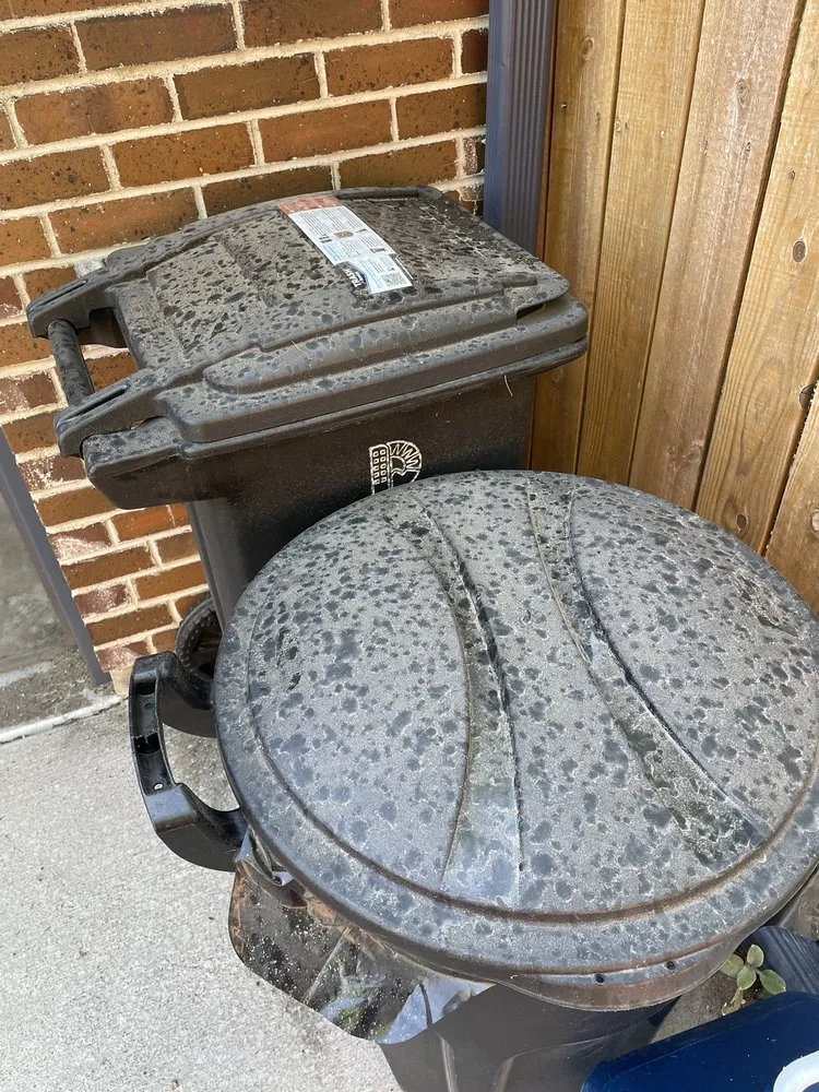 Affordable residential landscaping for residential properties across Denver, CO - The Bears of the Rockies