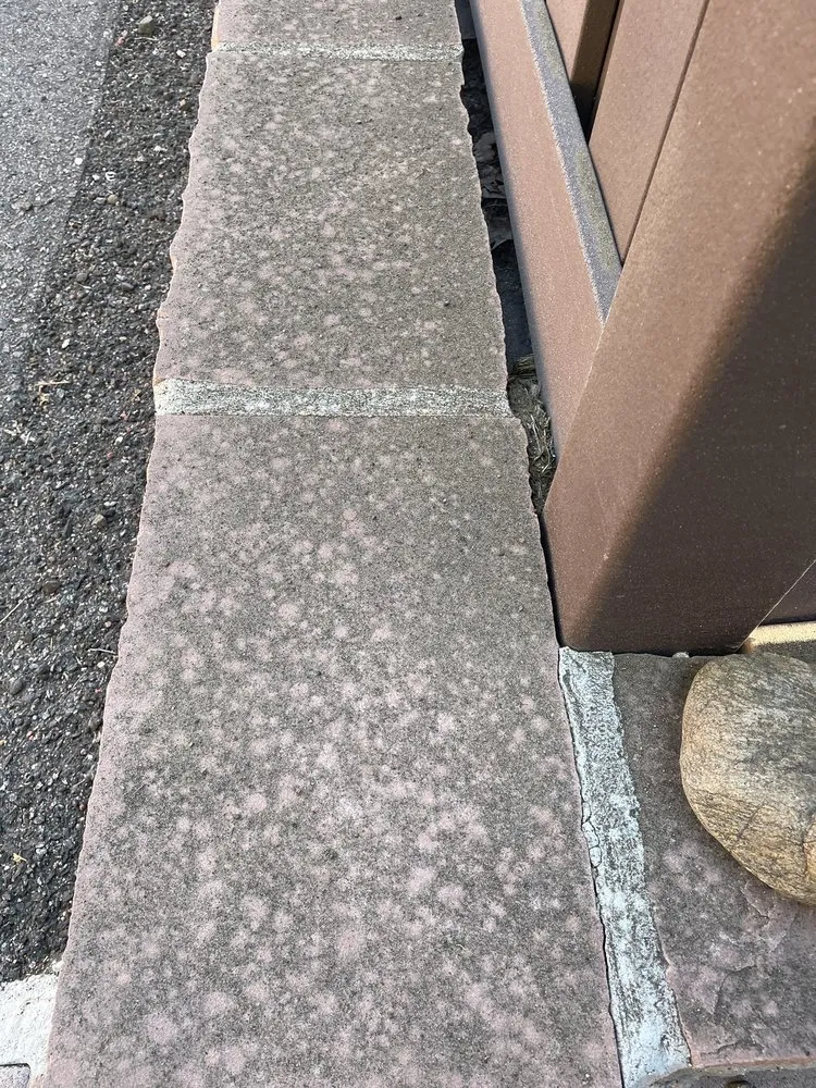 Custom yard cleanup service for year-round maintenance across Denver, CO - The Bears of the Rockies