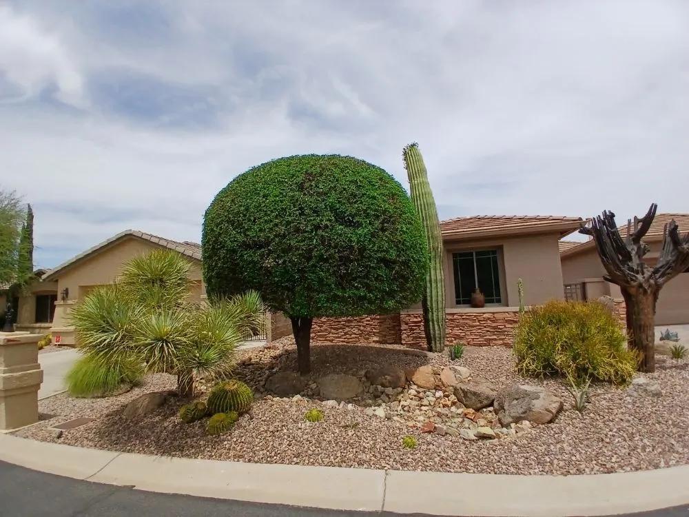 Professional landscape installation for residential properties across Sun Lakes, AZ - The Beaver Quality Landscaping