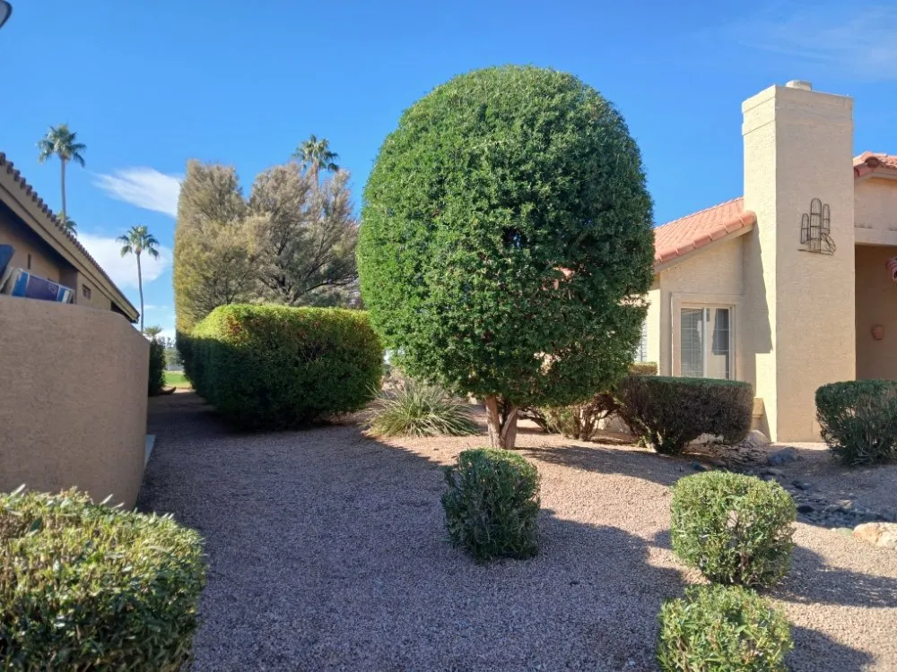 Trusted garden landscaping experts serving Sun Lakes, AZ - The Beaver Quality Landscaping
