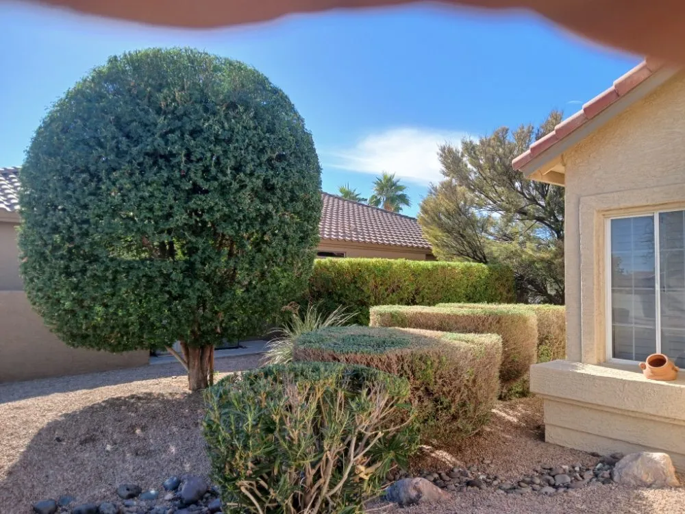 Professional outdoor landscaping in Sun Lakes, AZ by The Beaver Quality Landscaping