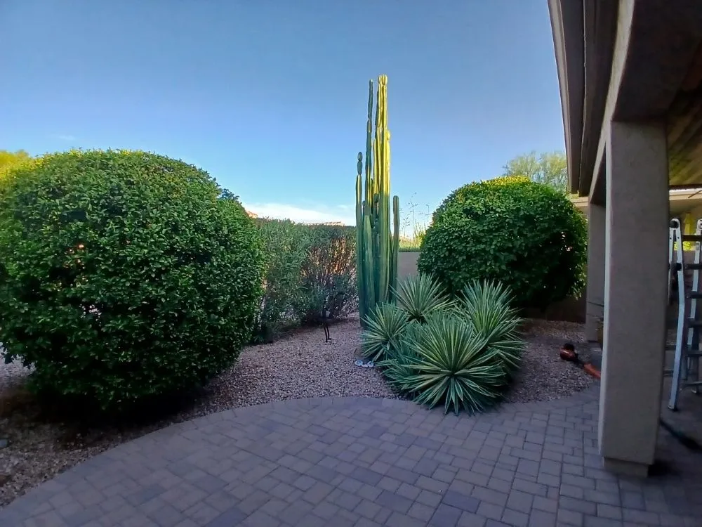 Professional outdoor landscaping in Sun Lakes, AZ - The Beaver Quality Landscaping