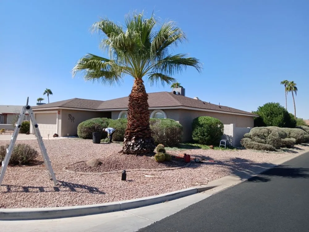 Affordable landscape design experts serving Sun Lakes, AZ - The Beaver Quality Landscaping