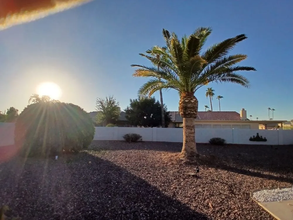 Expert lawn mowing service in Sun Lakes, AZ - The Beaver Quality Landscaping