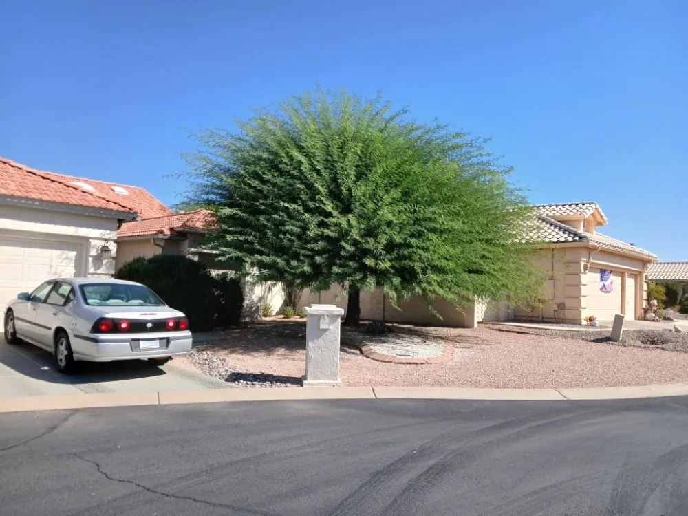 Expert lawn care service experts serving Sun Lakes, AZ - The Beaver Quality Landscaping
