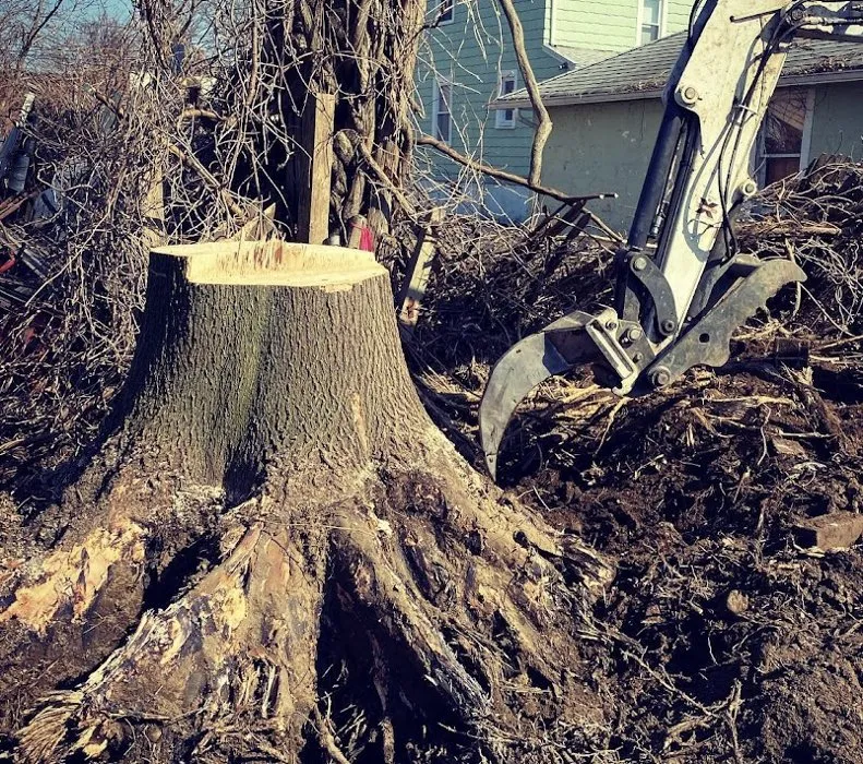 Trusted residential landscaping for year-round maintenance across Fairfield, CT - The Becker Companies