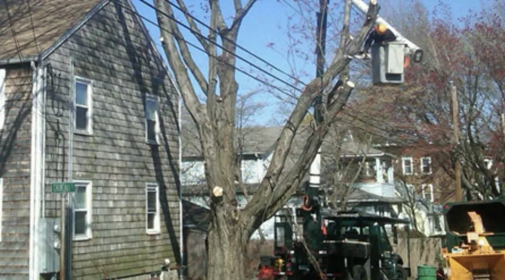 Custom yard maintenance in Fairfield, CT - The Becker Companies