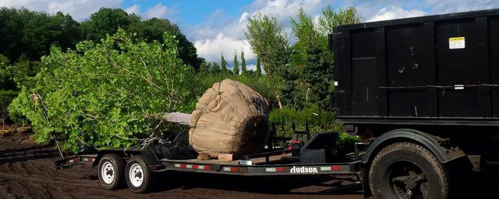 Expert landscaping services with custom design in Fairfield, CT by The Becker Companies