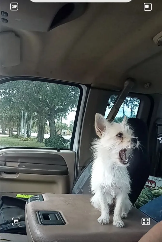 Local garden landscaping for year-round maintenance across Clewiston, FL - The Bee Guys - Honey Bee Removal