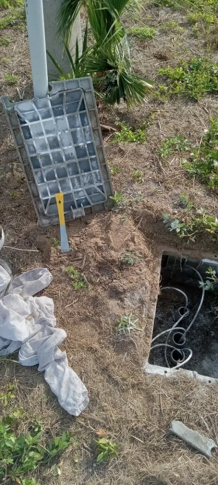 Reliable landscape installation experts serving Clewiston, FL - The Bee Guys - Honey Bee Removal