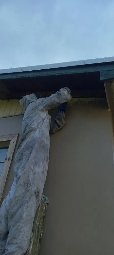 Expert landscape installation in Clewiston, FL by The Bee Guys - Honey Bee Removal