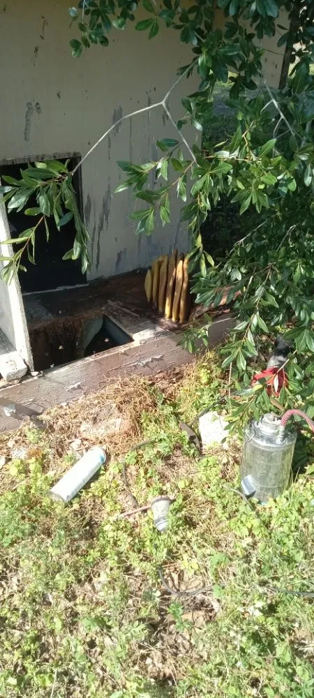 Trusted yard maintenance for outdoor upgrades across Clewiston, FL - The Bee Guys - Honey Bee Removal