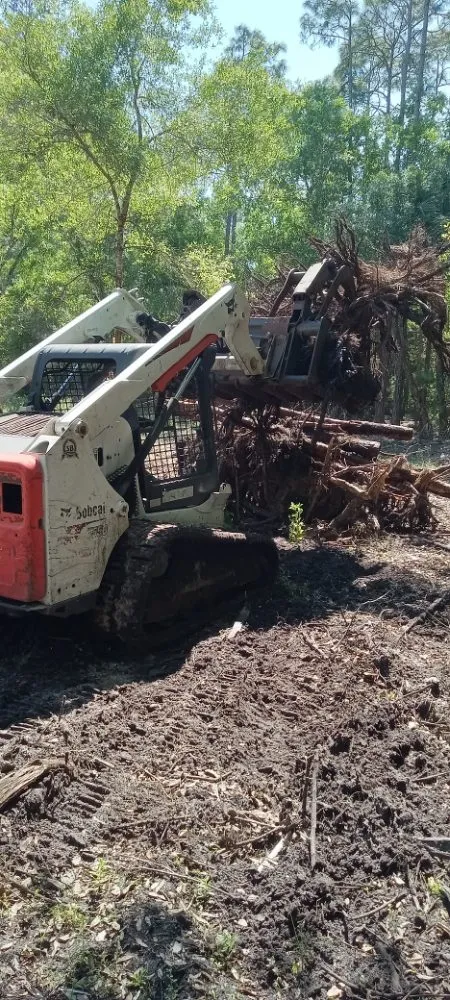Expert yard maintenance for outdoor upgrades in Clewiston, FL by The Bee Guys - Honey Bee Removal