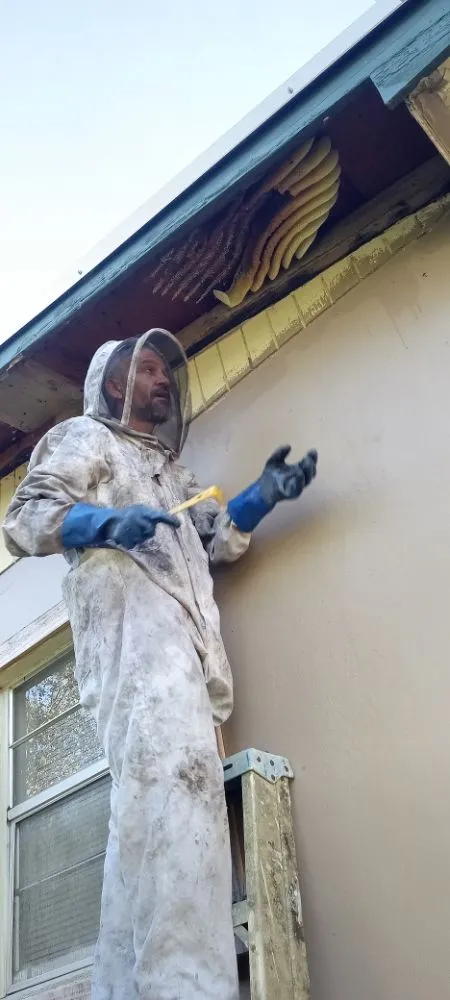 Custom outdoor landscaping for beautiful yards in Clewiston, FL by The Bee Guys - Honey Bee Removal