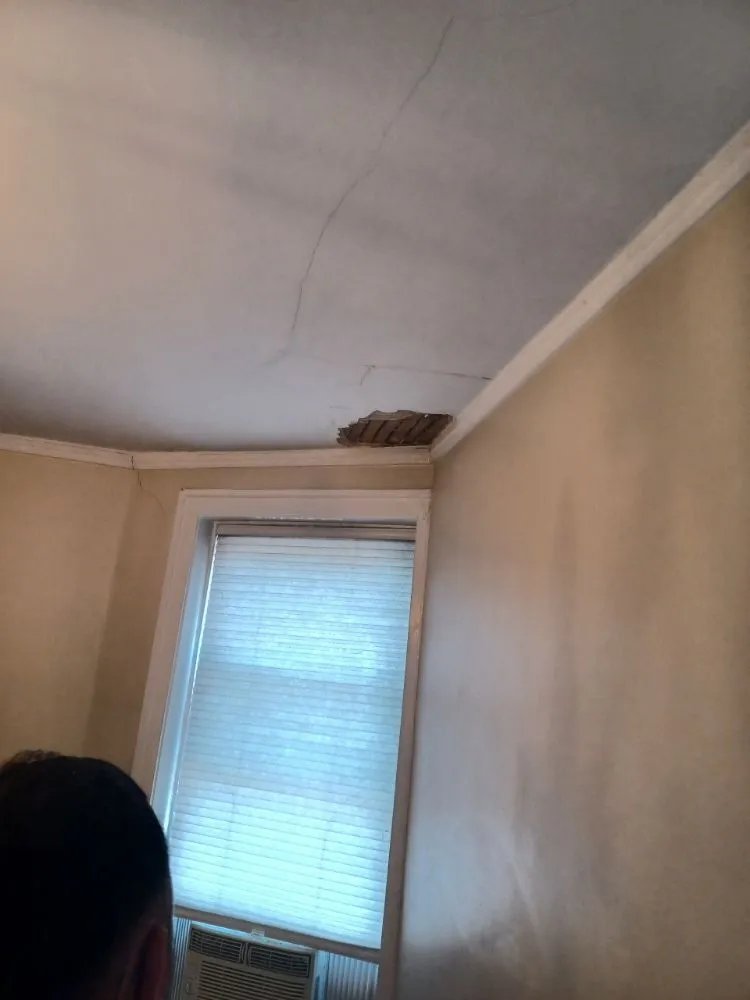 Top-rated outdoor landscaping for beautiful yards across Chicago, IL - The Best Care Home Services