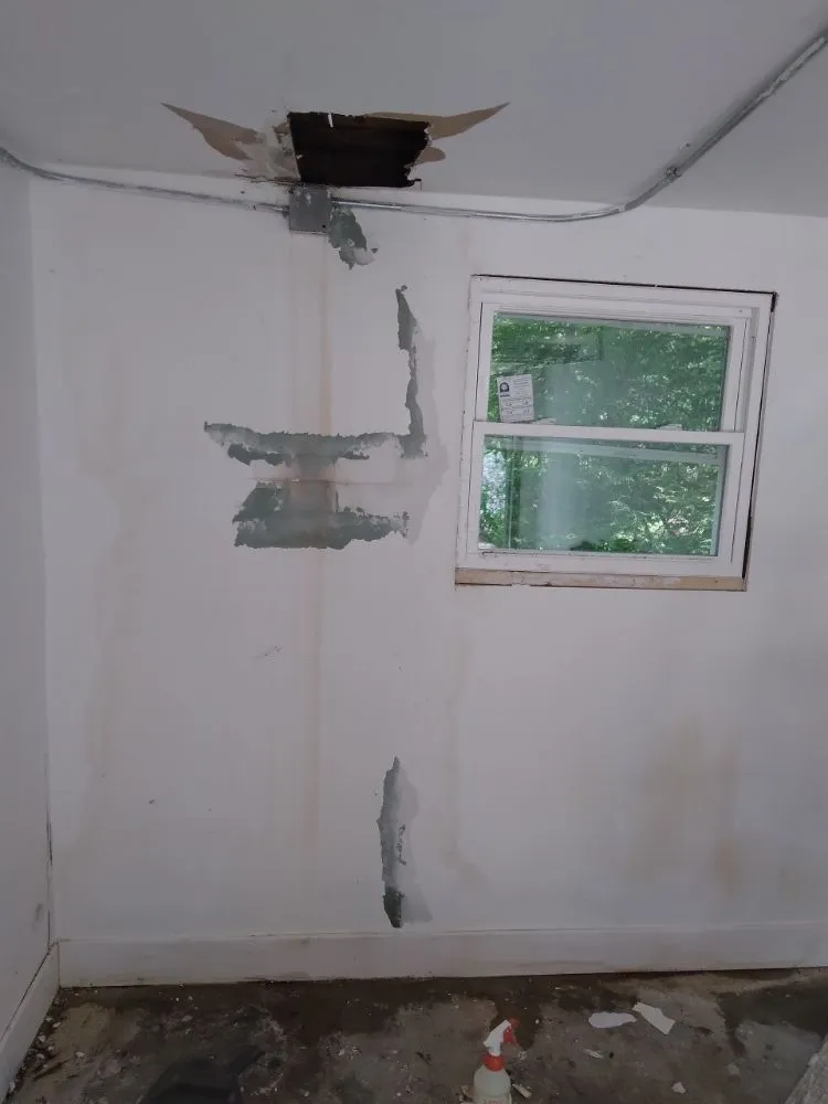 Top-rated landscaping services in Chicago, IL by The Best Care Home Services