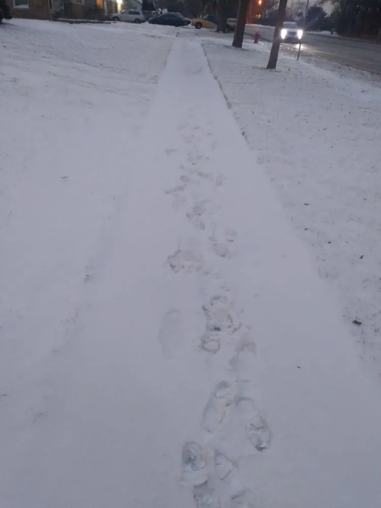 Affordable lawn care service with custom design in Chicago, IL by The Best Care Home Services