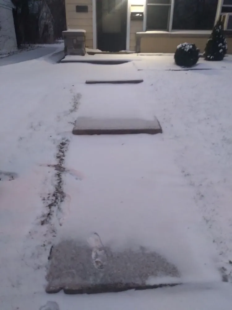 Trusted landscape design in Chicago, IL - The Best Care Home Services