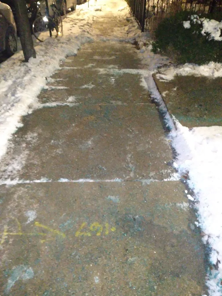 Affordable yard cleanup service in Chicago, IL - The Best Care Home Services