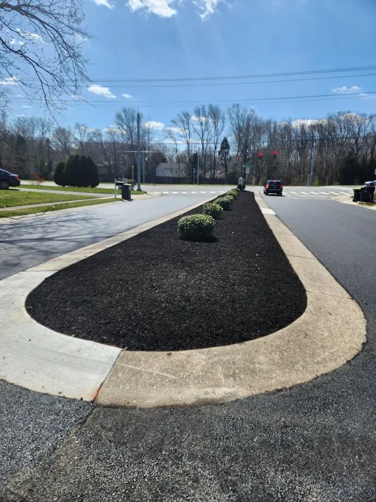 Trusted lawn care service in Newark, MD by The Best Cut Lawn Service
