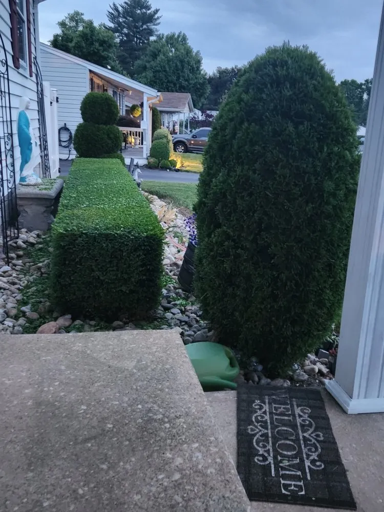 Custom landscaping services in Newark, MD - The Best Cut Lawn Service