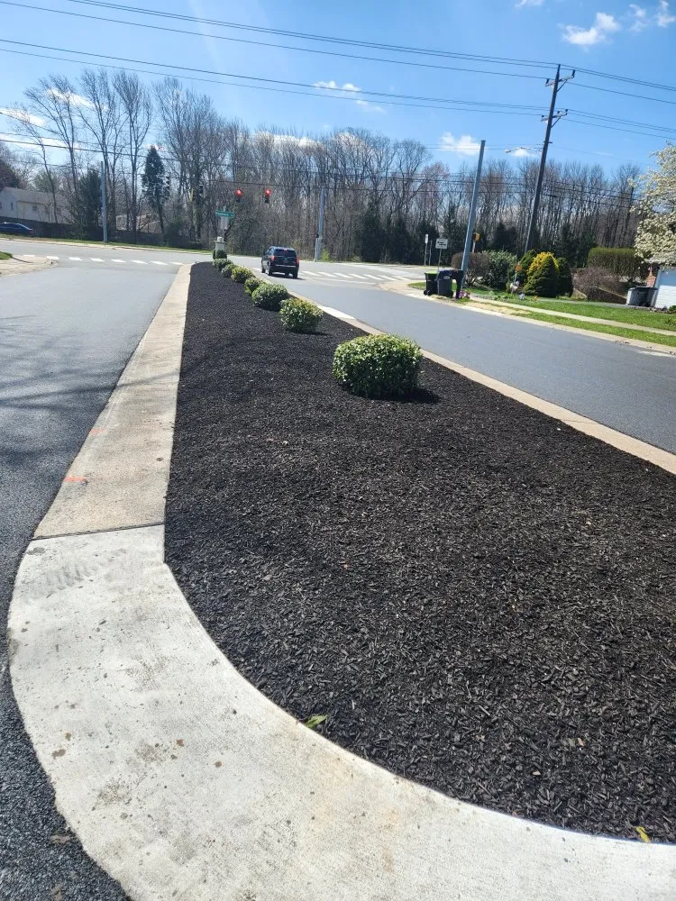 Custom lawn mowing service in Newark, MD - The Best Cut Lawn Service