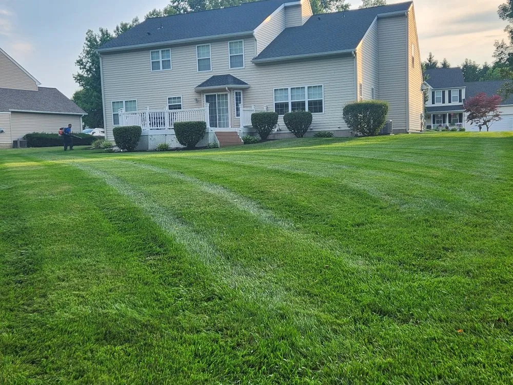 Local landscape design in Newark, MD - The Best Cut Lawn Service