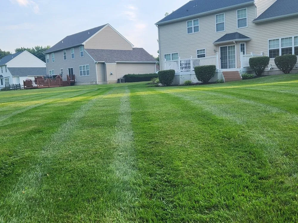 Affordable lawn mowing service near you across Newark, MD - The Best Cut Lawn Service