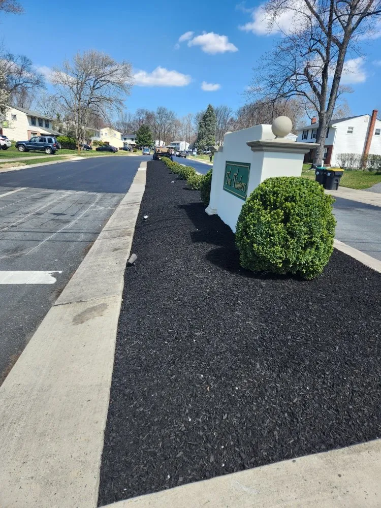Trusted yard cleanup service in Newark, MD by The Best Cut Lawn Service