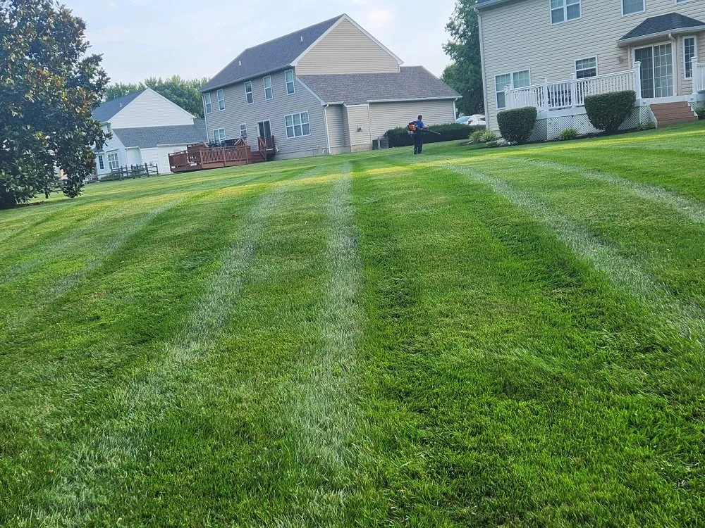Expert lawn mowing service experts serving Newark, MD - The Best Cut Lawn Service