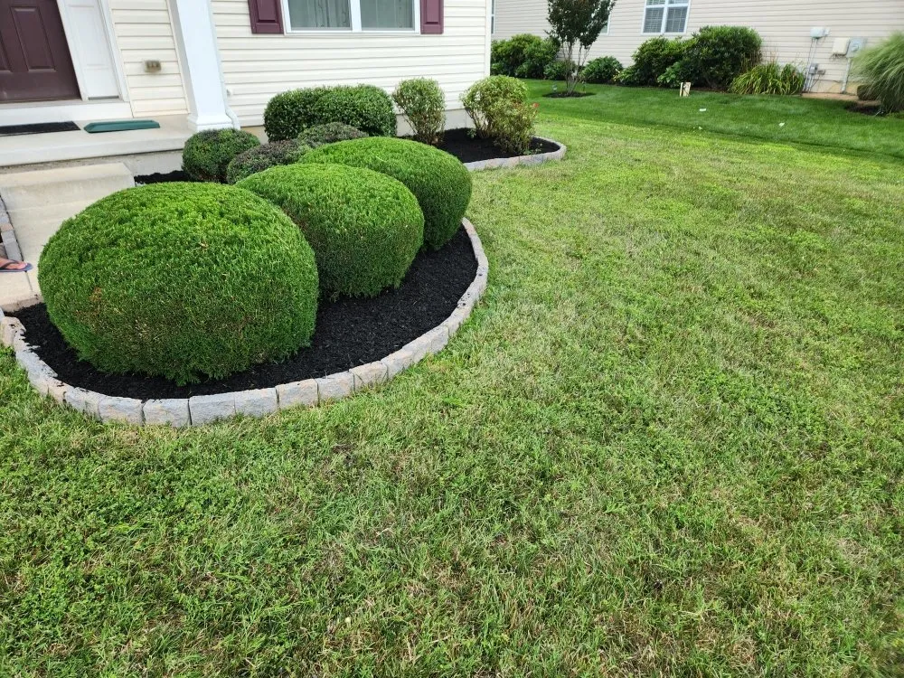 Top-rated lawn mowing service for year-round maintenance in Newark, MD by The Best Cut Lawn Service