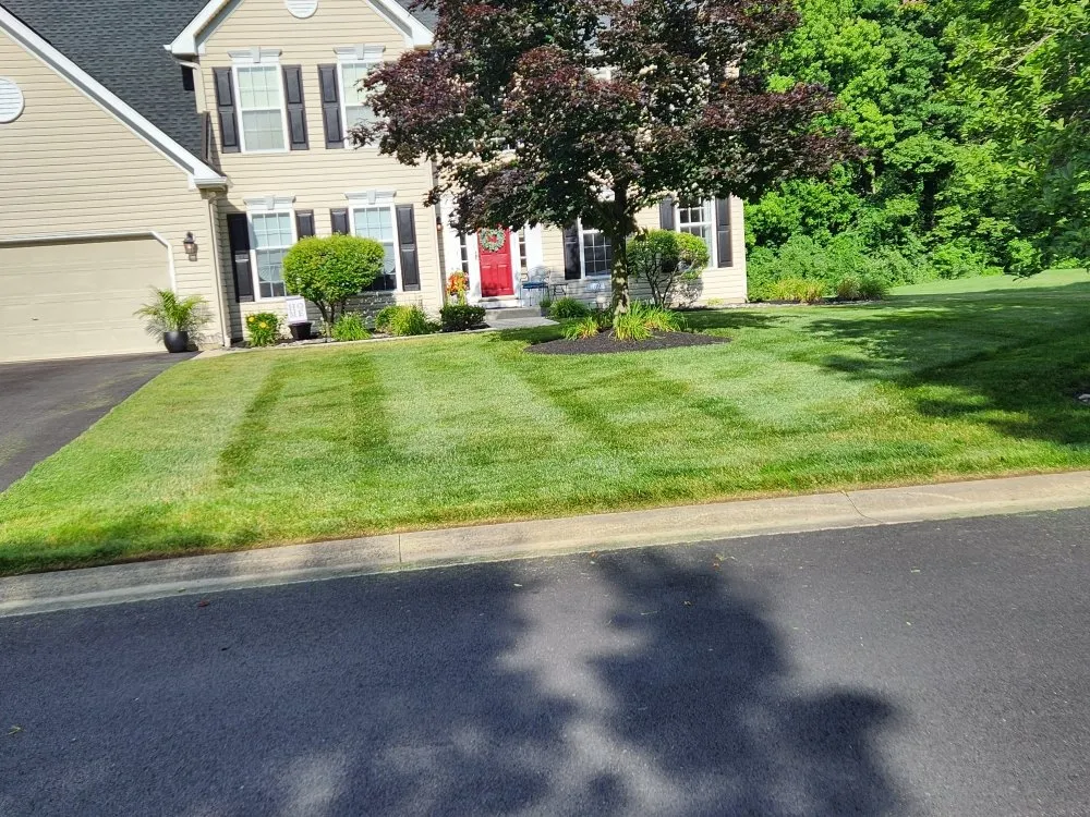 Top-rated residential landscaping with custom design in Newark, MD by The Best Cut Lawn Service
