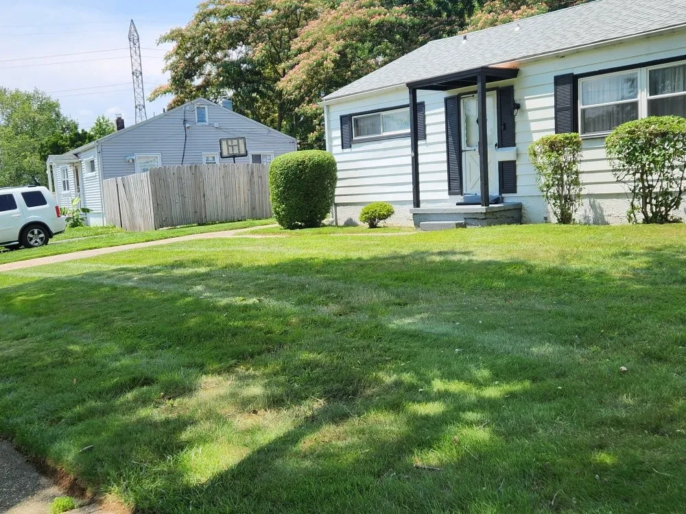 Top-rated yard maintenance for beautiful yards across Newark, MD - The Best Cut Lawn Service
