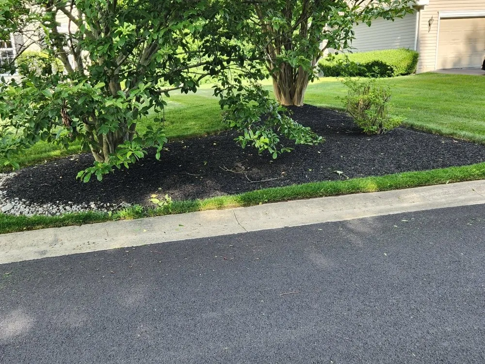 Top-rated lawn care service for beautiful yards in Newark, MD by The Best Cut Lawn Service