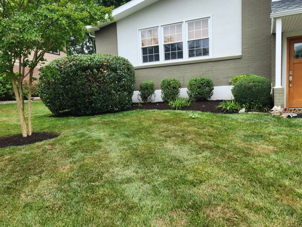 Top-rated lawn care service experts serving Newark, MD - The Best Cut Lawn Service