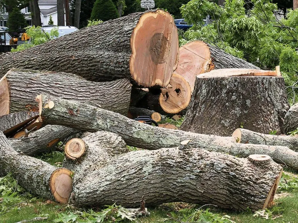 Expert lawn mowing service with custom design in Frederick, MD by The Best Friends Landscaping