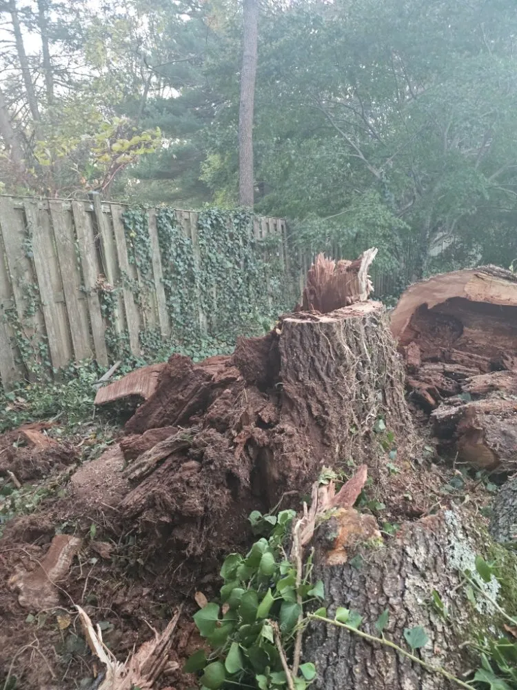 Trusted garden landscaping experts serving Frederick, MD - The Best Friends Landscaping