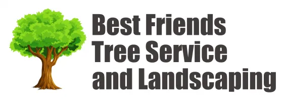 Trusted landscape installation for outdoor upgrades across Frederick, MD - The Best Friends Landscaping