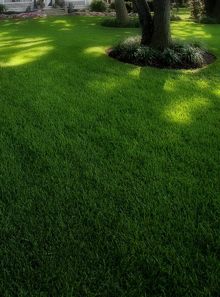 Trusted residential landscaping for residential properties in Rex, GA by The Best Grass