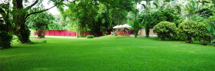 Local lawn mowing service for beautiful yards across Rex, GA - The Best Grass