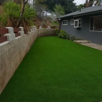 Affordable yard cleanup service in Rex, GA - The Best Grass