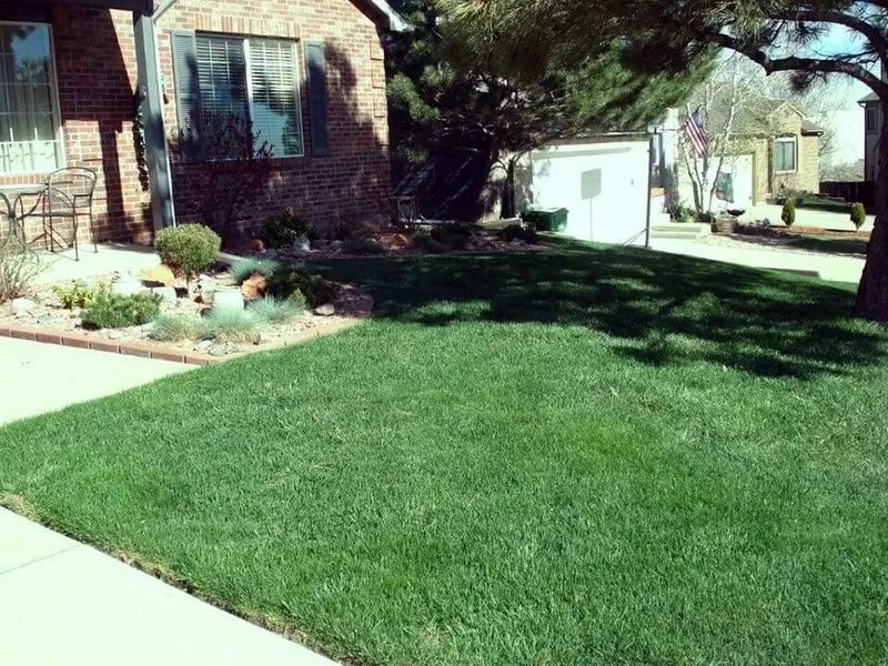 Local lawn care service with custom design across Rex, GA - The Best Grass
